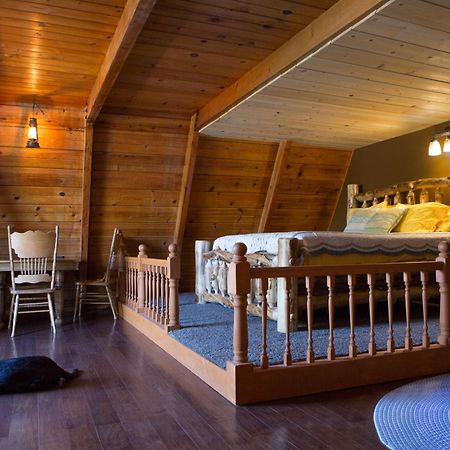 Hicksville Pines Chalets & Motel Idyllwild Exterior photo